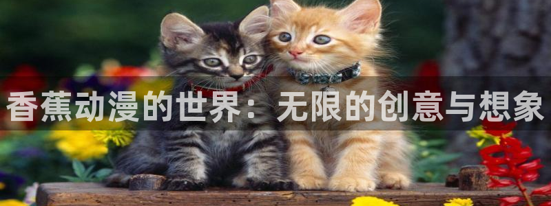 免费看里番动漫