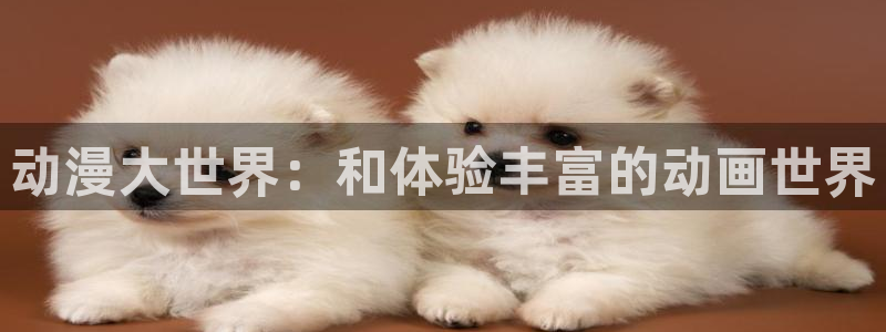 里番动漫在线网