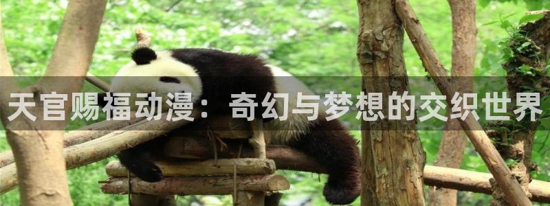 好看的里番动漫推荐