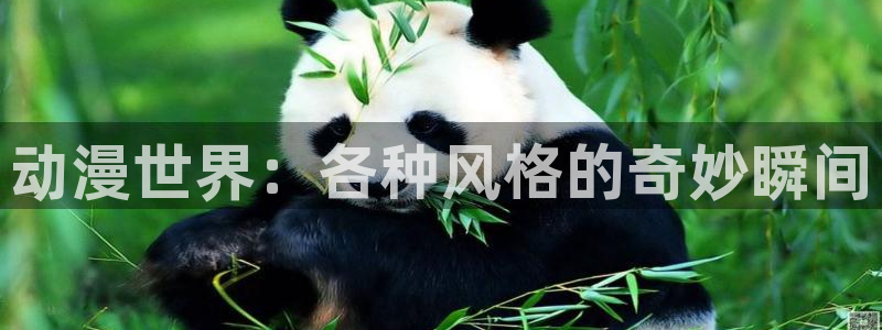 里番动漫高清在线观看