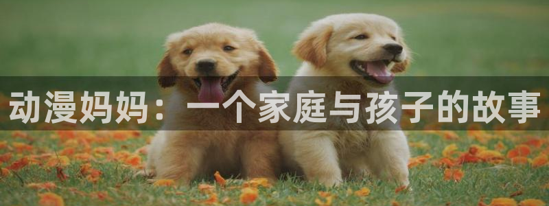 里番动漫最高质量